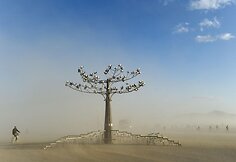 Festivalis „Burning man“ Nevados dykumoje