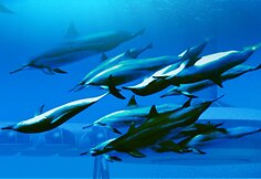„Poseidon undersea resort“