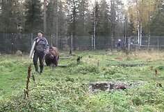 Tapytojas Juuso ir jo abstrakti kūryba