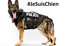 #Jesuisunchien &ndash; internete gedima per teroristų &scaron;turmą žuvusios Diesel