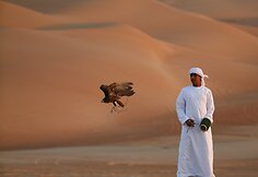 Sakalų augintojas Abu Dabyje
