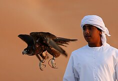 Sakalų augintojas Abu Dabyje