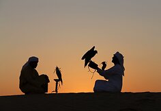 Sakalų augintojas Abu Dabyje