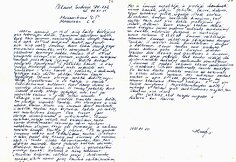 D. P. Murauskienės ir K. K. Murausko liudijimas apie 1991 m. sausio 13-osios įvykius
