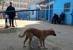 Egipte dingęs italas doktorantas rastas nužudytas ir sudegintas