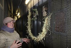 Zoologijos sodas pra&scaron;o lankytojų paaukoti jiems nebereikalingų daiktų