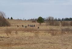 Pasieniečių pratybos