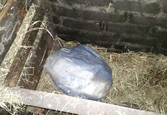 Sulaikyti kontrabandiniai rūkalai