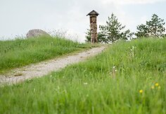 Auk&scaron;čiausios Lietuvos vietos paie&scaron;kos. Juozapinės kalnas