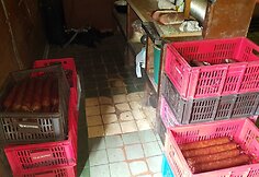 Nelegalus mėsos apdirbimo fabrikas