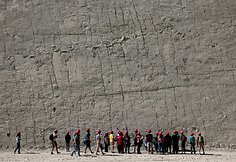 Dinozaurų pėdsakai Bolivijoje