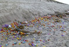 &Scaron;iaurės jūros saloje į krantą i&scaron;mesta gausybė plastikinių kiau&scaron;inių su žaisliukais