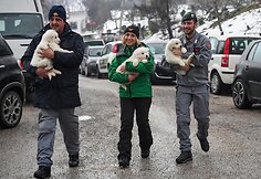 Italijos gelbėtojai lavinos palaidotame vie&scaron;butyje rado tris gyvus &scaron;uniukus