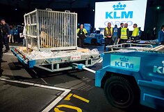 Nyderlandai žavisi i&scaron; Kinijos atskraidinta pandų pora