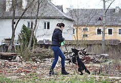 Kauno policininkai &scaron;unų prieglaudoje