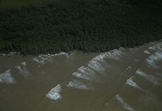 Amazonės žiotyse naftos ie&scaron;koti planuojantys brazilai kelia pavojų vietinei bendruomenei ir gamtai
