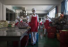 Kasdieniški Šiaurės Korėjos gyventojų portretai
