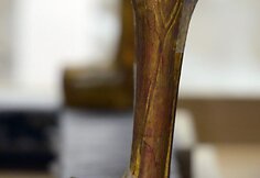 Faraono Tutanchamono lova ir vežimas perkelti į naują Kairo muziejų