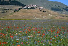 Italijos Umbrijos regionas