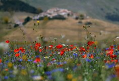 Italijos Umbrijos regionas