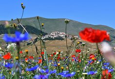 Italijos Umbrijos regionas