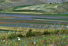 Italijos Umbrijos regionas