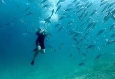 Povandeninis parkas Puloje,  Kroatijoje