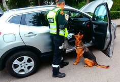 Kvynis aptinka narkotikus