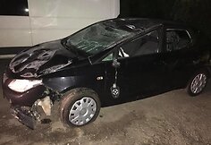 Prie Vilniaus du automobiliai susidūrė su briedžiu