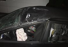 Prie Vilniaus du automobiliai susidūrė su briedžiu