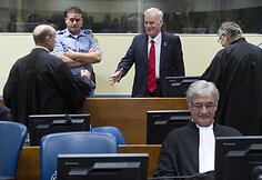 Buvęs Bosnijos serbų pajėgų vadas R. Mladičius nuteistas kalėti iki gyvos galvos