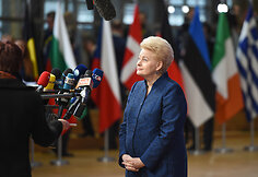 Dalia Grybauskaitė Europos Vadovų Taryboje Briuselyje