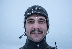 Ledinio arktinio vandens nebijantys banglentininkai Lofoteno salose