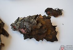 Kauno rajone rasti Lietuvos partizanų dokumentai