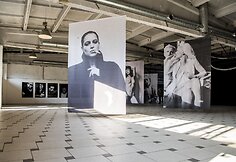 Fotografijų paroda