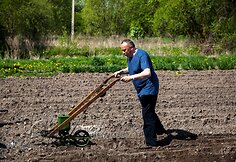 Pakruojo dvaro vasaros sezono atidaryme &ndash; sunkiųjų Lietuvos arklių varžybos