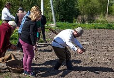 Pakruojo dvaro vasaros sezono atidaryme &ndash; sunkiųjų Lietuvos arklių varžybos