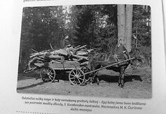 Knygos &bdquo;Lietuvio kodas&ldquo; iliustracijos