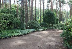 #MŪSŲKRA&Scaron;TAS: Alytaus ir Vilniaus bendruomenių tapatumo ugdymas bibliotekose