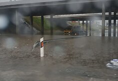 Kaune praūžė liūtis