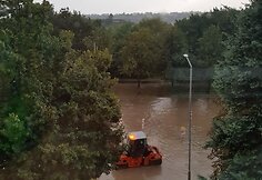 Kaune praūžė liūtis