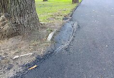 Rekonstrukcijos darbų Ramybės parke ir Kauko alėjoje brokas
