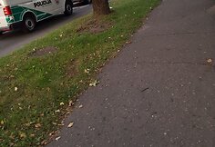 Įvykis Tvirtovės alėjos ir Sukilėlių prospekto sankryžoje