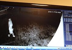 Nuo vandalų nukentėjo Kauno mečetė &ndash; i&scaron;daužti du langai