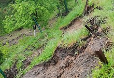 Po liūties nuslinkęs &scaron;laitas &Scaron;aldytuvų gatvėje Kaune