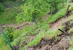 Po liūties nuslinkęs &scaron;laitas &Scaron;aldytuvų gatvėje Kaune