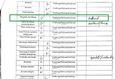 Nuomininkė teigia, kad bute &Scaron;iaurės prospekte buvo vos 11 laipsnių &scaron;ilumos