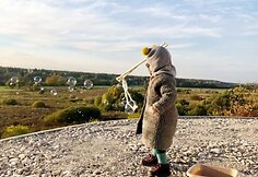 Vilainiuose pastatytas akį traukiantis kupolinis namas