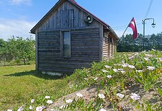 Prie Dauguvos upės įsikūrusi Jaunjelgava