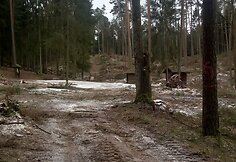 Kurortinėje Kačerginės teritorinėje kertami medžiai